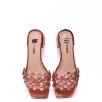 New Collection